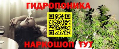 бошки Тулун