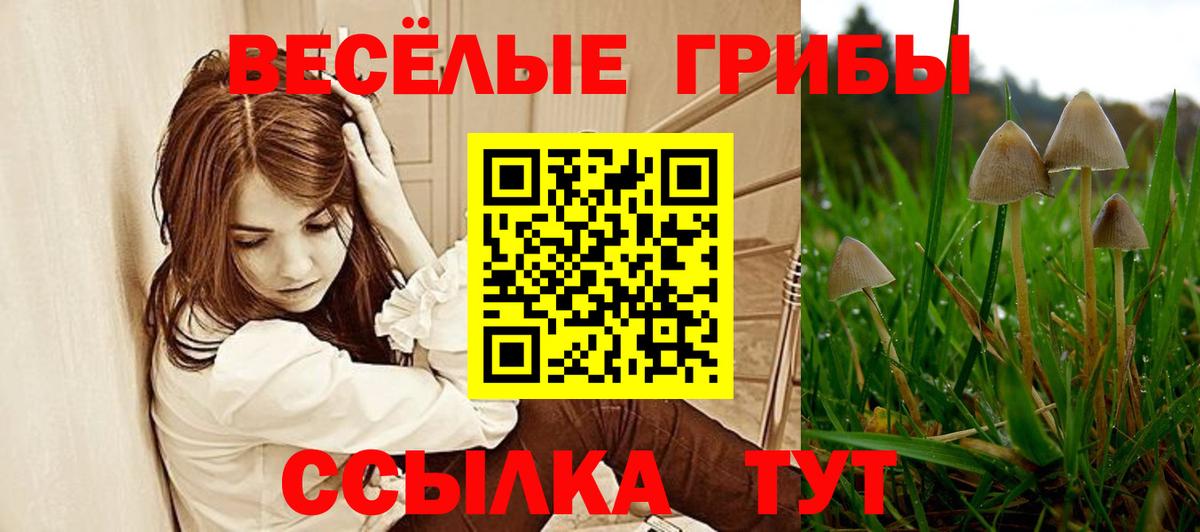 Псилоцибиновые грибы мухоморы  Вход с VPN  Нижнеудинск 