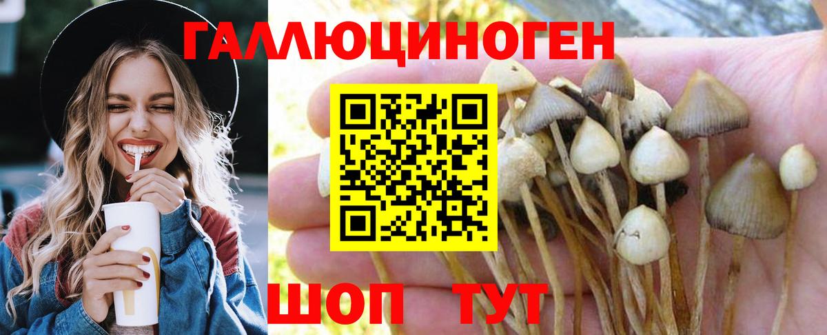 Псилоцибиновые грибы мицелий Нижнеудинск
